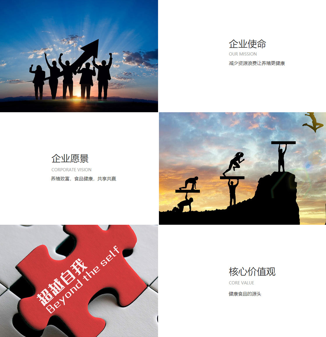 18dj18大奖平台官网(图1)